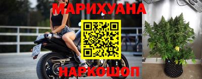 прущие крисы Малгобек