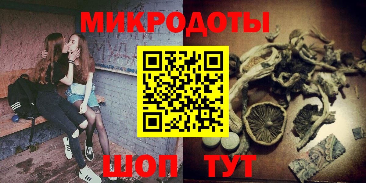 Галлюциногенные грибы Psilocybine cubensis  Псилоцибиновые грибы MAGIC MUSHROOMS  Жигулёвск  Вход с VPN 